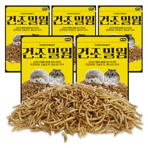 고슴도치 햄스터 햄슴펫 건조밀웜 간식, 150g, 5개