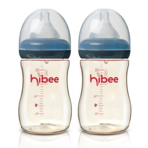 하이비 PPSU 젖병 300ml x 2p, LL(9개월이상), 그레이, 2개