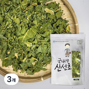 월드블링 신선초, 100g, 3개