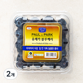 폴앤박 유레카 블루베리, 125g, 2개