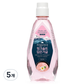 히말라야핑크솔트 죽염 담은 가글 플로럴 민트, 5개, 320ml