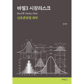 바젤3 시장리스크:신표준방법 해부, 박영사, 김미애