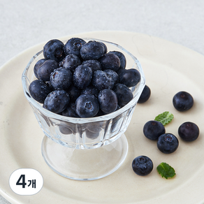 GAP 인증 상큼애 블루베리, 100g, 4개