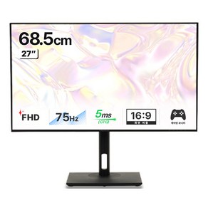 인터픽셀 FHD 75Hz IPS 평면 게이밍 모니터