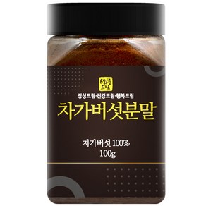 생생드림 차가버섯 분말, 100g, 1개