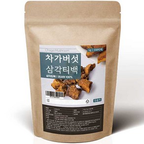 조은약초 차가버섯차 삼각티백, 100g, 100개입, 1개