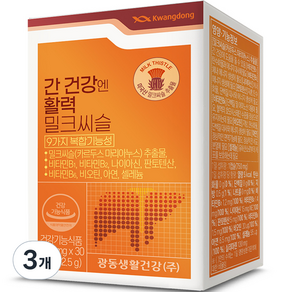 광동 간 건강엔 활력 밀크씨슬 22.5g, 3개