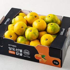 당도선별 11bix 감귤, 2kg(소과), 1박스