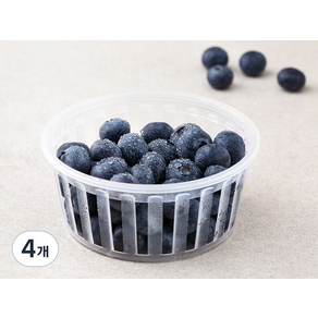 곰곰 GAP 국내산 블루베리, 100g, 4개
