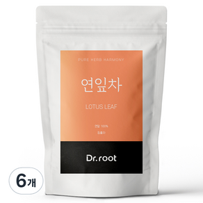 닥터루트 연잎 삼각티백, 6개, 25개입, 1.2g