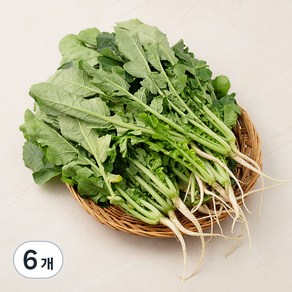 국내산 열무, 1.2kg, 6개