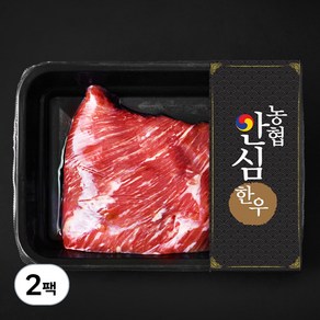 농협안심한우 양지 덩어리 2등급 국거리 수육 장조림용 (냉장), 300g, 2팩