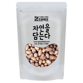 조은약초 자연을 담는다 프리미엄 비자열매, 300g, 1개