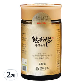 양지홍삼 활화삼 홍삼분말, 120g, 2개