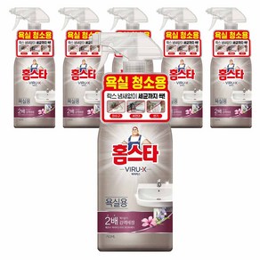 홈스타 바이럭스 세정제 욕실용, 750ml, 6개