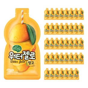 자연은 워터젤로 망고 젤리형 음료, 100ml, 40개