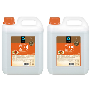 대상 청정원 물엿, 9kg, 2개