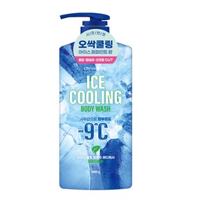 온더바디 아이스 쿨링 빙하수 바디워시 페퍼민트향, 1개, 943ml