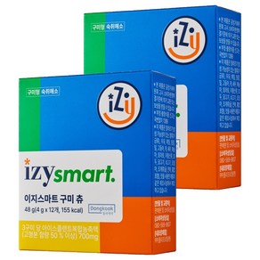동국제약 숙취해소제 이지스마트 구미 츄 12p, 2개, 48g