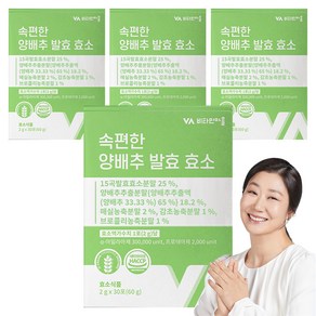 비타민마을 속편한 양배추 발효 효소, 60g, 4개