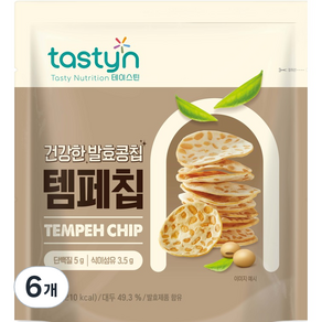 테이스틴 템페칩 스낵, 40g, 6개