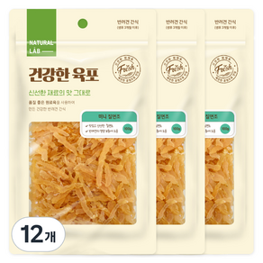 내츄럴랩 건강한 육포 강아지 간식, 칠면조, 100g, 12개