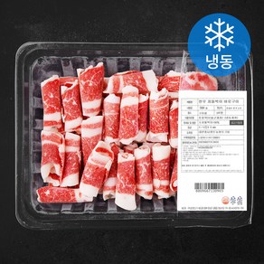 한우 차돌박이 1등급 바로구이 (냉동), 300g, 1개