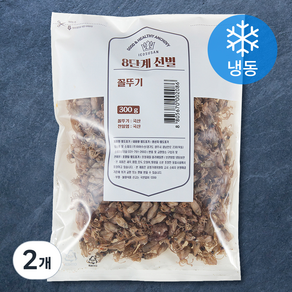 8단계 선별한 꼴뚜기 (냉동), 300g, 2개