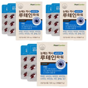 뉴트리가든 눈에는 역시 루테인 파워, 30정, 3개