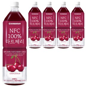 참앤들황토농원 NFC 착즙 타트체리주스