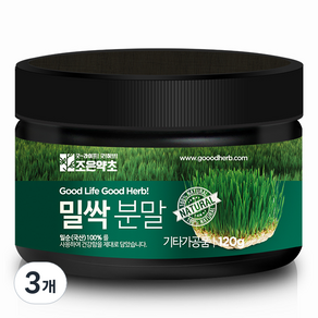 조은약초 밀싹 분말, 3개, 120g