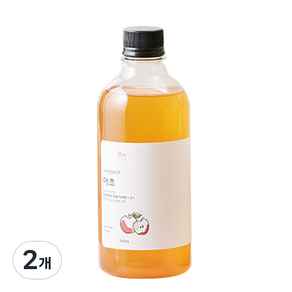 순희엄마 애초 사과 식초, 500ml, 2개