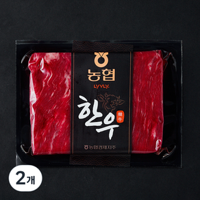 농협 한우 양지 미절단 1등급 국거리용 (냉장), 2개, 300g