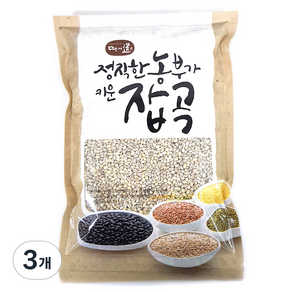 진도장모와서울큰사위 강호청보리, 1kg, 3개