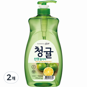 참그린 청귤 산뜻 설거지 주방세제, 970ml, 2개