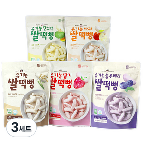 맛있는풍경 유기농 쌀떡뻥 딸기 25g + 사과 25g + 블루베리 25g + 단호박 25g + 플레인 25g, 125g, 3세트