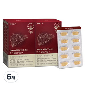 건강한약속바른 밀크씨슬 30p, 6개, 24g