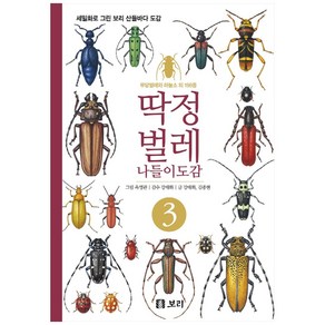 딱정벌레 나들이도감 3:무당벌레와 하늘소 외 198종, 보리출판사, 강태화, 김종현