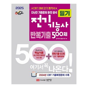 2025 핵담 전기기능사 필기 반복기출 500제