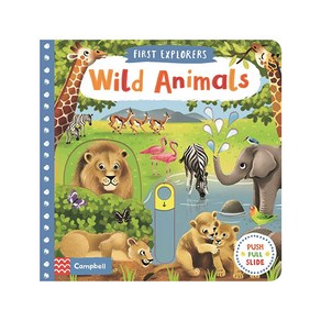 Wild Animals : First Explorers, Macmillan Children's Books