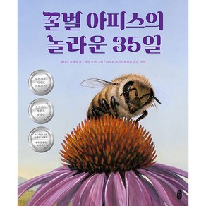 꿀벌 아피스의 놀라운 35일