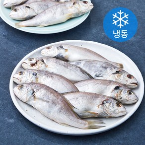 초록바다 백조기 굴비 20미 (냉동), 1개, 2kg