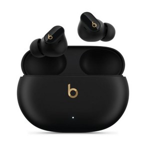 Apple 정품 Beats 스튜디오 버즈 +