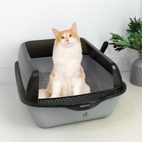 딩동펫 고양이 베이직 반투명 샌딩 화장실 모래삽 세트, 그레이, 1세트