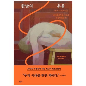 한낮의 우울:내면의 어두운 그림자 우울의 모든 것, 민음사, 앤드루 솔로몬,민승남