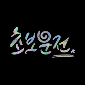 루키마켓 운전 스티커 04 캘리그라피 14 골벵이초보, 오로라, 1개