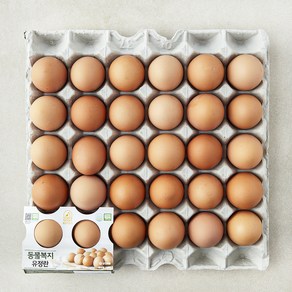 계란의정원 동물복지 인증 유정란 1.56kg, 1개, 30구