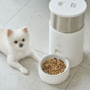 헤이홈 강아지 고양이 사료 무게측정 스마트 자동 급식기 Cae 2.8L, 화이트, 1.9kg, 1개