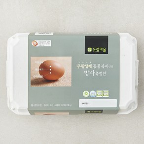 유정마을 동물복지 인증 방사유정란 780g, 15구, 1개