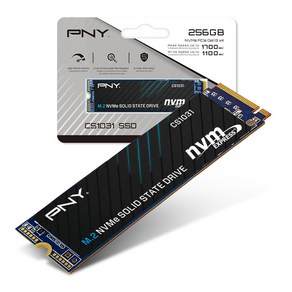 PNY SSD